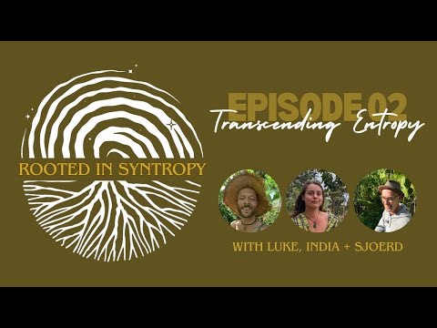 Transcending Entropy - EP02 of Rooted in Syntropy
