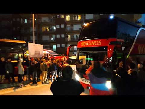 Sport Lisboa e Benfica vs Penafiel