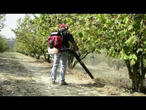 Cifarelli BL 1200 Petrol Backpack Blower 11