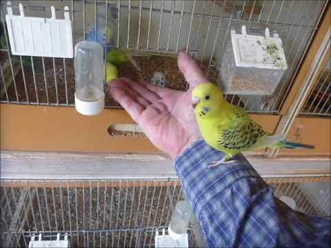 2018 06 03 Wir wollen raus