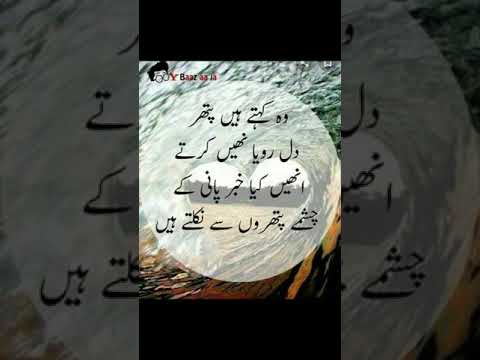 Urdu quotes#shorts