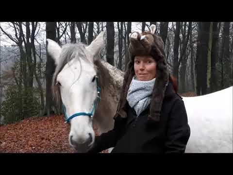 React auf Sandra Schneiders Neujahrsgruß: Von dreckigen Pferden & schmutziger Feuerwerk-Politik