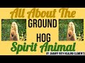 🐾 Ground Hog Spirit Animal 🐾 All About The Ground Hog Spirit (made with Spreaker)