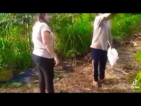 lucu-lucu-video lucu || keluarga ruwet kota KEDIRI