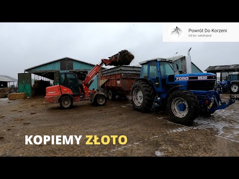 NASZA DNIÓWKA /Ford 8830 💙pierwsza praca po remoncie