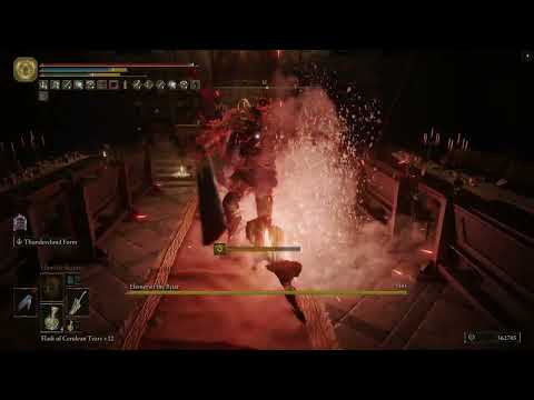 THIS KILL OF ELEMER OF THE BRIAR IS DISGUSTING | ELDEN RING