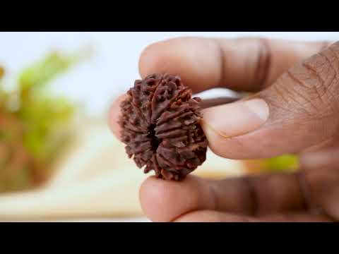 Rudraksha Product Image