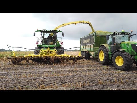 2. Dürre | Maisernte | 2019 ohne Kolben | LU Ahuis | John Deere 8600i | John Deere 6215R | TX 460 D