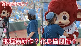 抱粒猿找到新工作了？ 為什麼他可以？