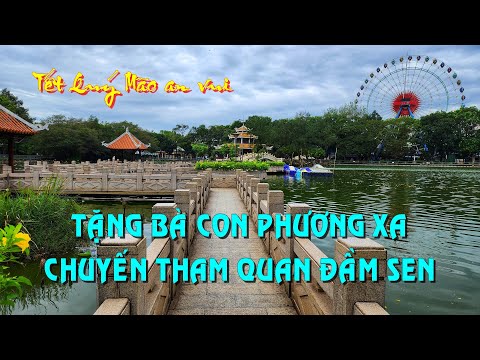 Công viên Văn Hóa Đầm Sen Quận 11 (Đầm Sen nước - Đầm Sen khô) |