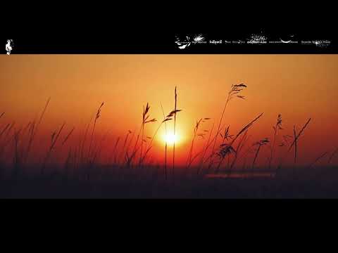 Nick Nightwalker - Silent (High Reshive) #progressive #trance