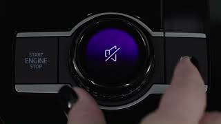 Driving Experience Dial