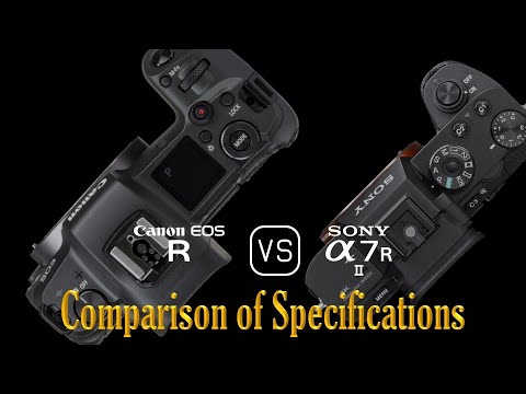 Canon EOS R vs. Sony A7R II: A Comparison of Specifications