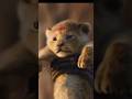 Watch The Full Lion King Recap In Zulu Subscribe For More SouthAfricanYouTuber ZuluMovies Zulu