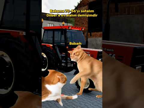 I told my father let's sell 7056 and buy a house for Dilber #incitaneleri #hazarergüçlü #fs22 #55...