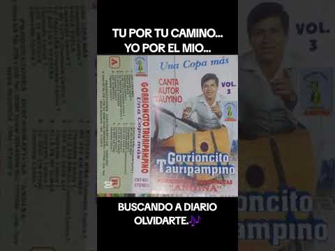 GORRION TAURIPAMPINO_QUE TE IMPORTA EXITOS DEL RECUERDO.. AYER Y HOY