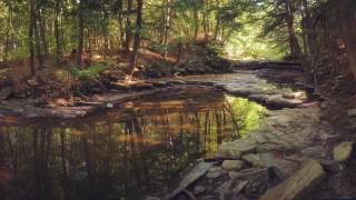 Stick Figure - Sound Of The Sea (Instrumental)