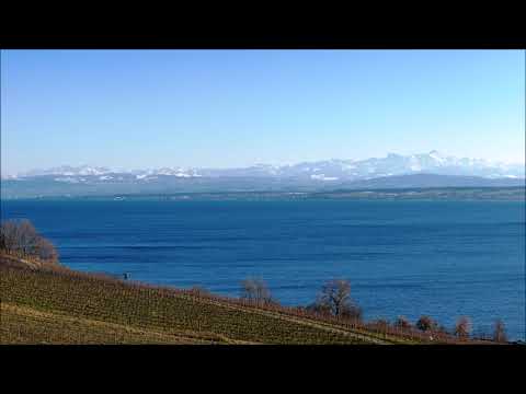 Werner Heider (*1930): "Meditation around D₄" for (organ or) ensemble (2013)