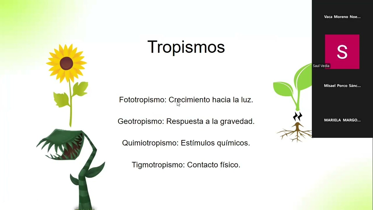 Funciones de relación TEMA 5 | PREUSFX AREA DE SALUD