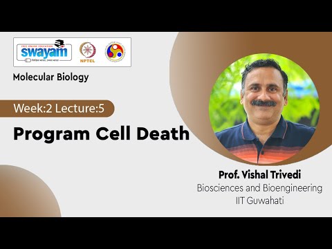 Molecular Biology Introduction Video