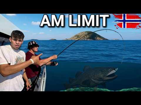 UNFASSBARER Angeltag in Mittelnorwegen, Flatanger 😱 DICKE Fische, Vielfalt & Frequenz!