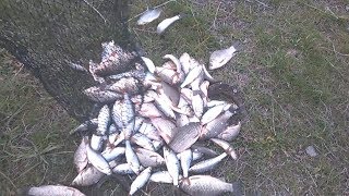 Ловля карася весной на каховском водохранилище