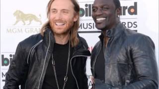 Akon - Party Animal ft. David Guetta