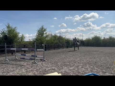 Balou du Rouet X Clinton