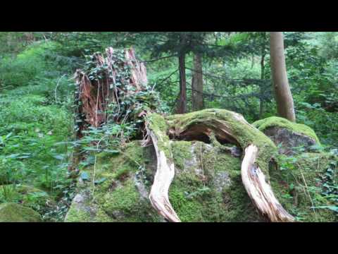 Gaishöll Wasserfälle Sasbachwalden Schwarzwald