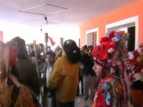 Capra de la Lipova 2013