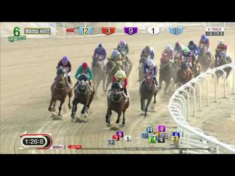 Champ Line - Busan Racecourse - March 19, 2017