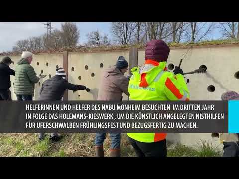(Über-)Lebensraum Kieswerk: Holemans & NABU machen Nisthilfen für Uferschwalben bezugsfertig