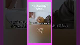 今の日本に必要な政治 #政治 #建設業 #れいわ新選組