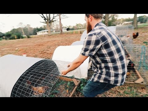 the $5 Chicken Tractor Video