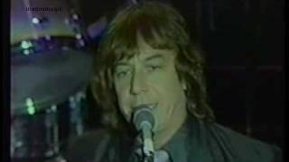 The Animals - Meltdown (Live, 1983 reunion) ♥♫50 YEARS