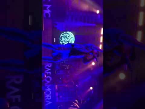 Palmen aus Plastik Tour live aus Hannover 05.04.2017
