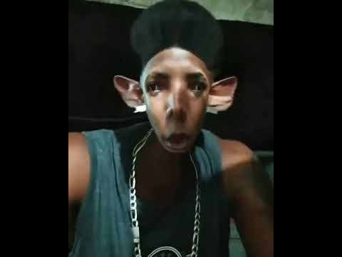 Oxi é um morcego é? meme