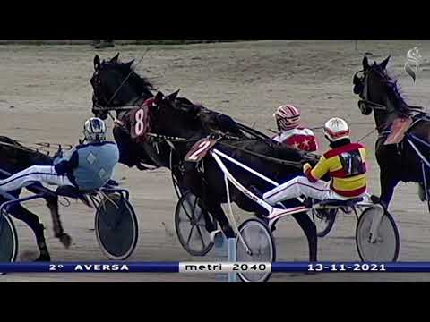 Aversa trotto 13 Novembre 2021 - 2° Corsa