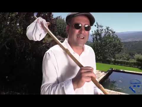 "grilinho...grigri "