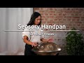 Meinl Sonic Energy HPSTL92 Sensory Handpan Set thumbnail 13
