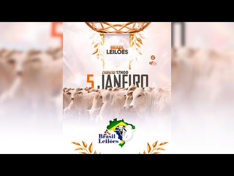 1º LEILÃO 2026 BRASIL LEILÕES / PORANGATU GO. -05/01/2026