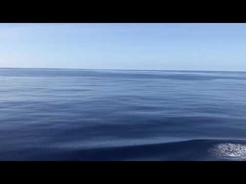 Complete calm in the middle of the Atlantic