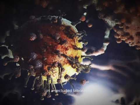 Experiment goes terribly wrong