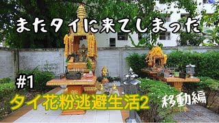 またタイへ来てしまった【タイ花粉逃避生活2】