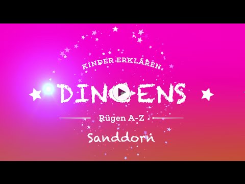 „Dingens – Rügen von A bis Z“: S wie Sanddorn