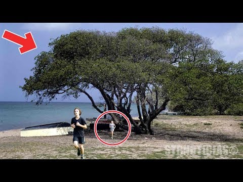 Si ves este árbol, corre de inmediato y no te acerques por nada del mundo ¡OCULTA ALGO  PELIGROSO! Video