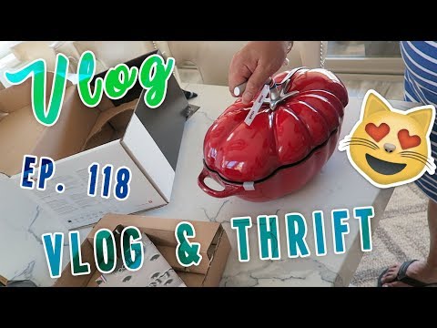 VLOG AND THRIFT - EP. 118