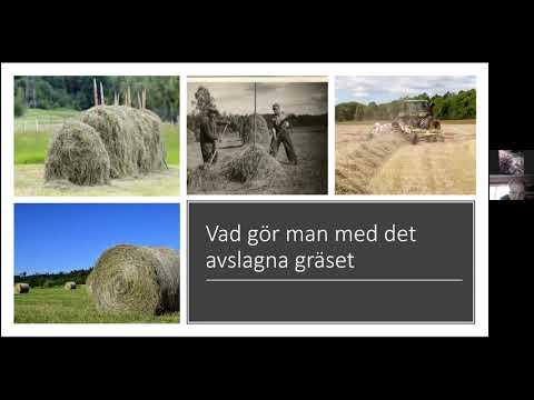 Gör om gräsmattan till äng! Föreläsning av Tomas Strid, naturvårdspecialist på Naturcentrum AB.