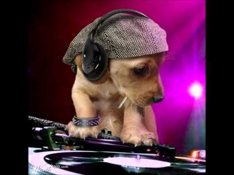 dj igi.wmv