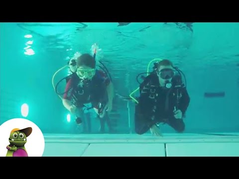 Monsterschlau: Wie werde ich ein Taucher?